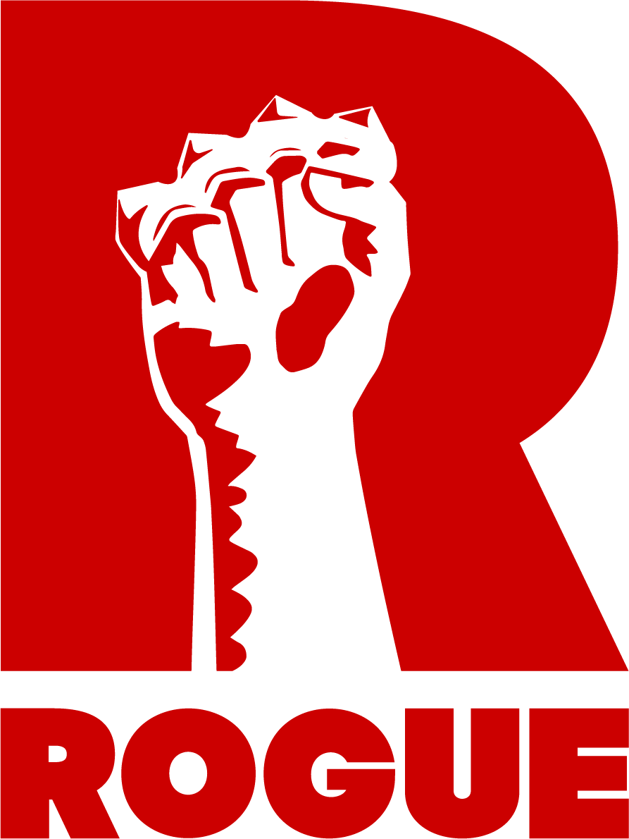 Rogue Games Inc | Independent Video Game Publisher